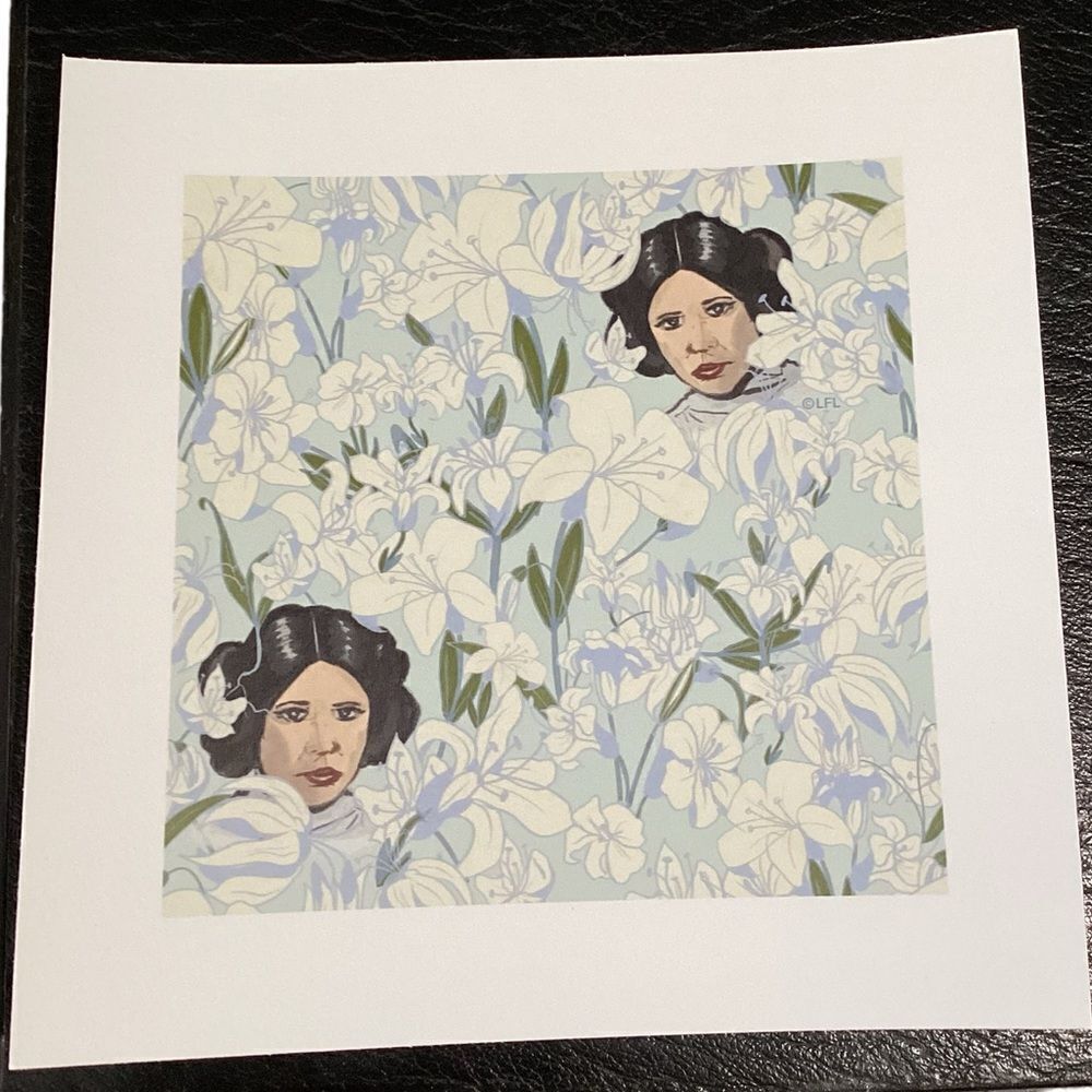 Society6 Princess Leia Mini Art Print NEW‎